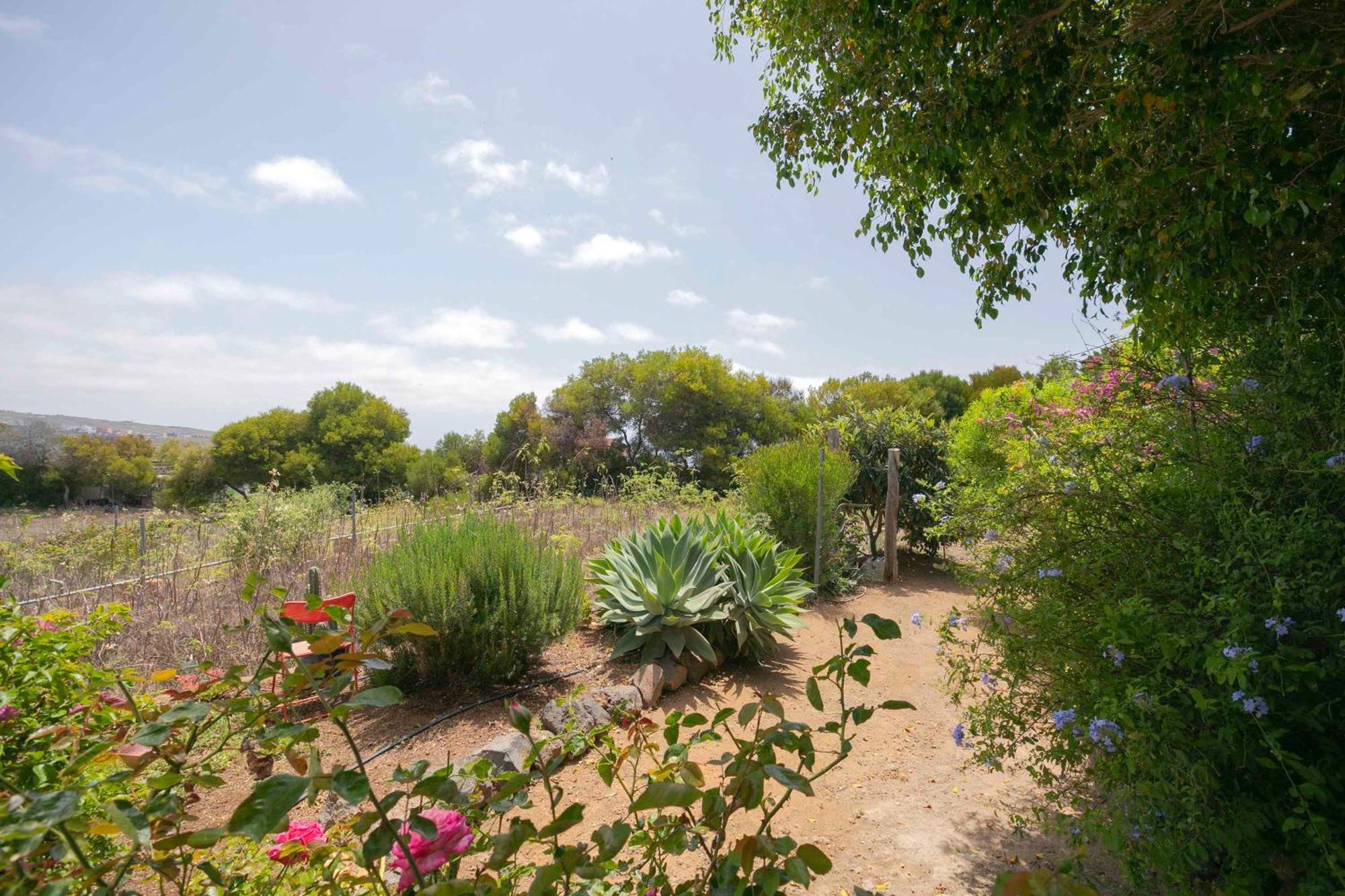 Casa Wayra Villa Granadilla de Abona Kültér fotó