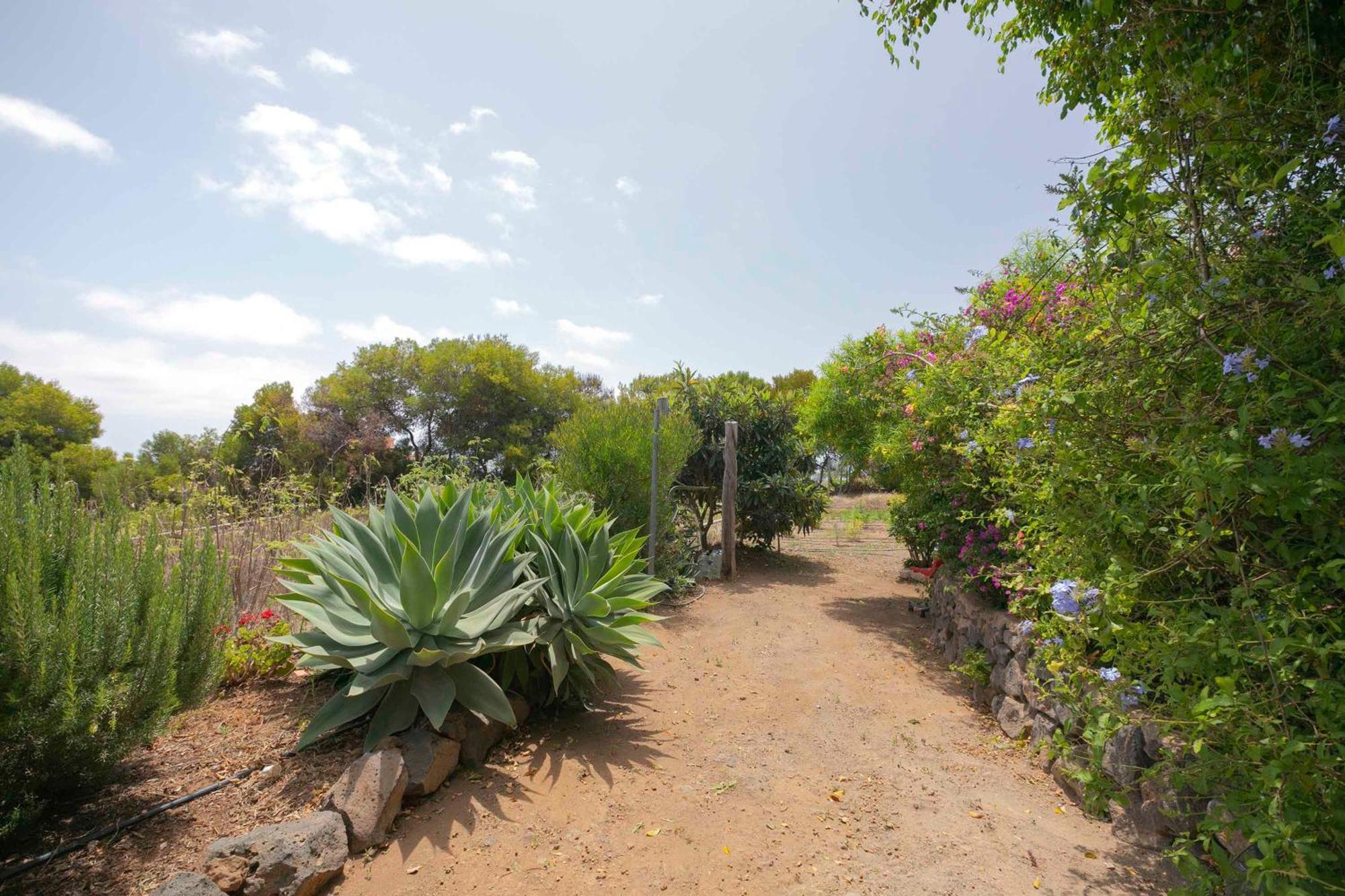 Casa Wayra Villa Granadilla de Abona Kültér fotó